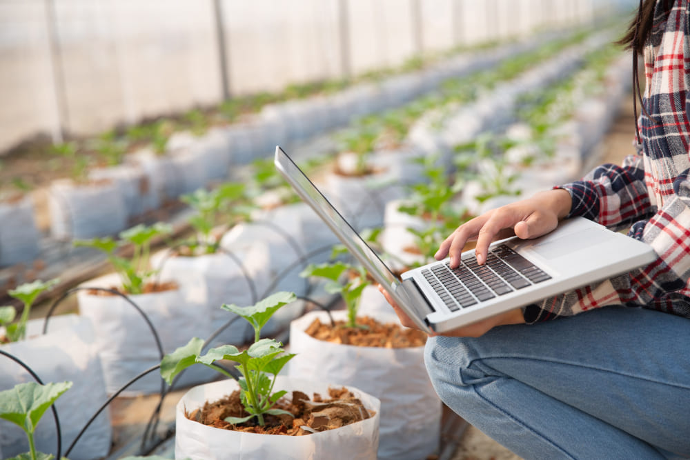 About WebCoodee Agriculture Solutions